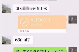 大宁企业清欠服务